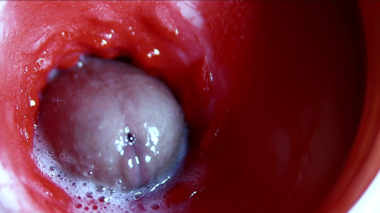 SEXY_GUYBEST: 非常接近的大量精子流在一个甜美的asmr湿啪