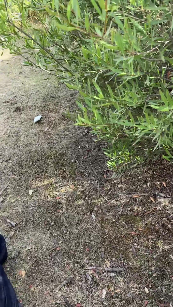 Mr. Pentacle: Perjalanan Berakhir Dengan Pelayaran