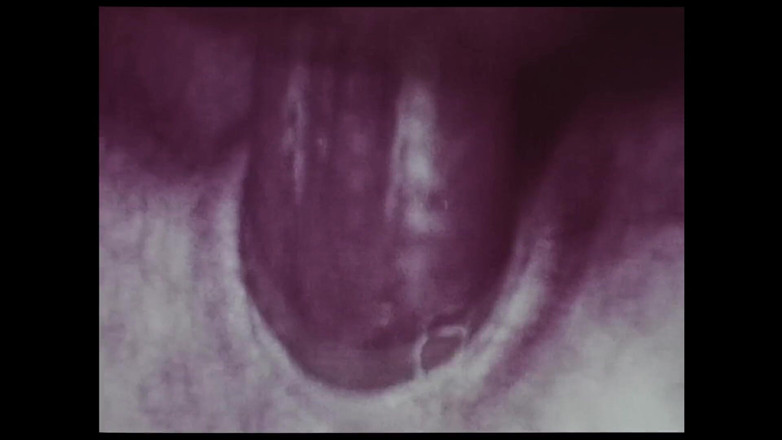 Close Encounter Vintage: Retro-porno, retro-erotik-theater - ebenholz und elfenbein