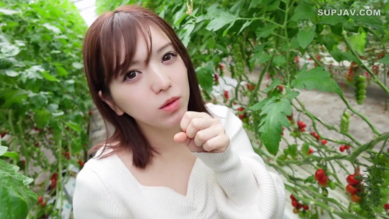 Studio Modern Shunga - JAV: Asijský anděl 7402