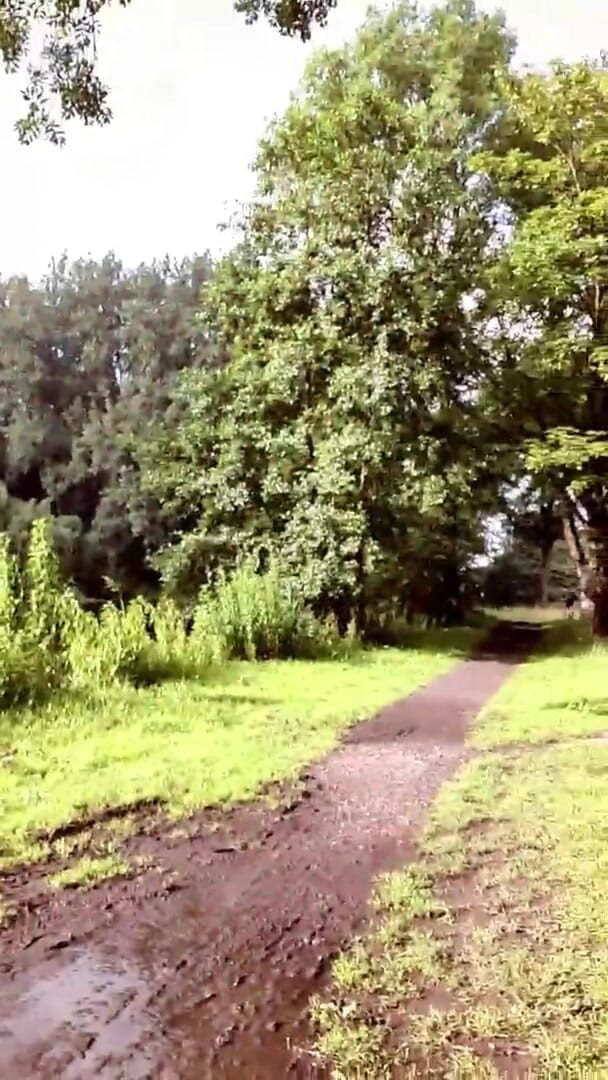 Slutboyben: Slutboyben Cam4 Susu Kontol di