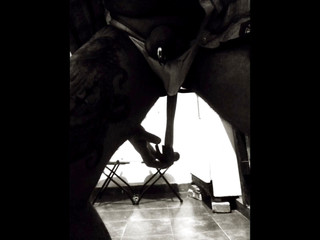 Phillholes: Seni porno blach dan putih