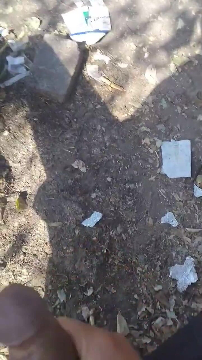 Rex Bitchington Blade: 外で楽しむ