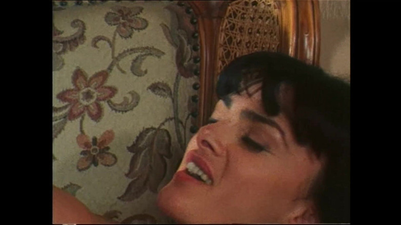 Vintage megastore: Młody wielki kutas liże i pieprzy piękną owłosioną cipkę milf