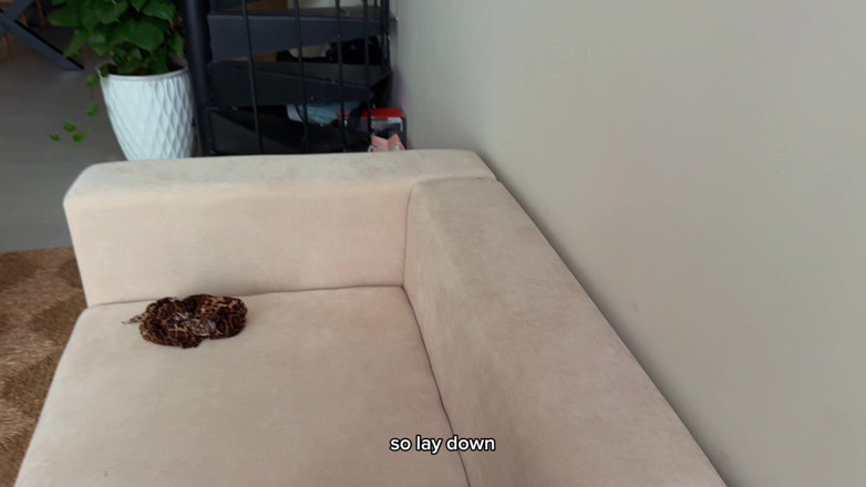 Morphiturata: I Just Started Filming and Took Out. the Result Was...