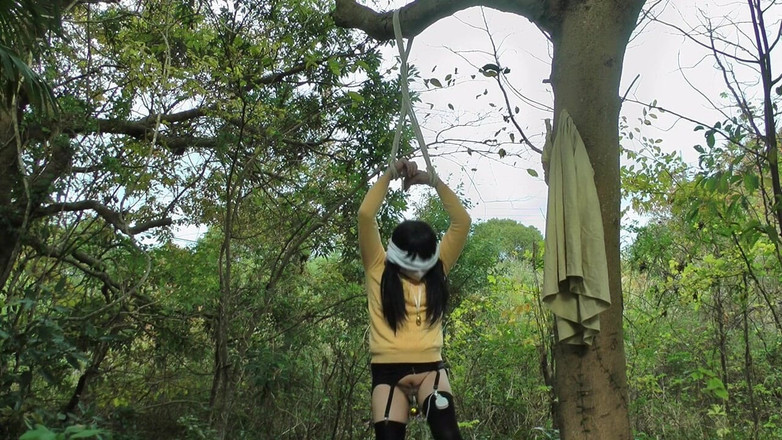megu2002: 調教師様からの命令　no28　ロープ吊るし拘束野外放置