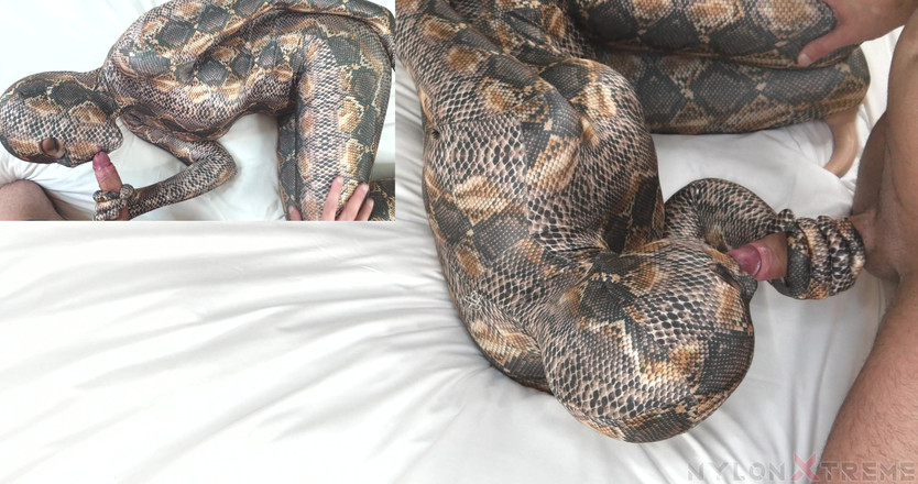 Nylon Xtreme: 노라 폭스 스네이크 엔카멘트 젠타이 도기 스타일