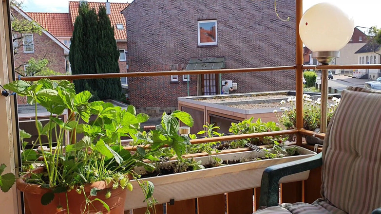 UserBitch1: BJ on the Balcony