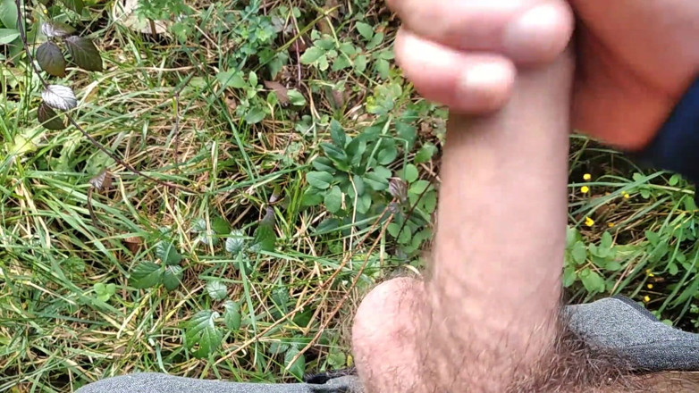 Elvissc: The Horny Stepfather Went on a Hike, When He Took...