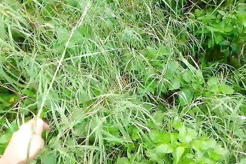 Gangbang straight: Я побачив жінку, втік, мастурбував і мочився.