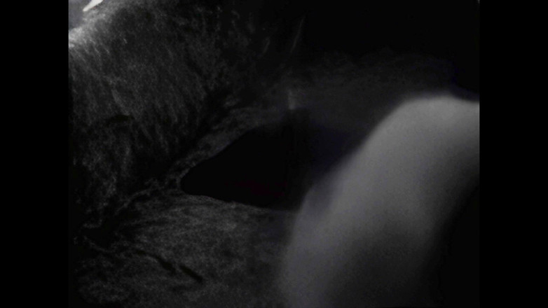 Mark Hannes: Garb masturbacja czarno-biała z pierwszą prawdziwą kamerą internetową w 1996 roku