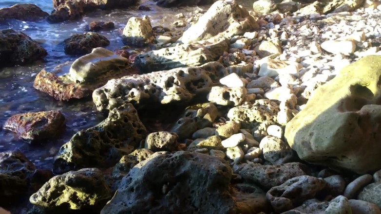 Hairy couple: Risky sex at the beach and creampie