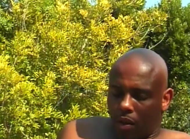 Black Jass: Pussy licked ebony slut gets plowed outdoors