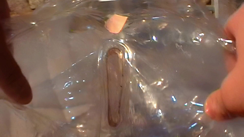 Mark Hannes: Cleardoll creampie šukání masturbace