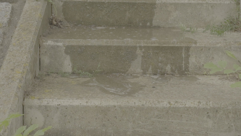 Venus Aurea: Young Ginger Girl Pisses on the Staircase