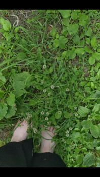 Soft Soles on Fresh Green Grass.