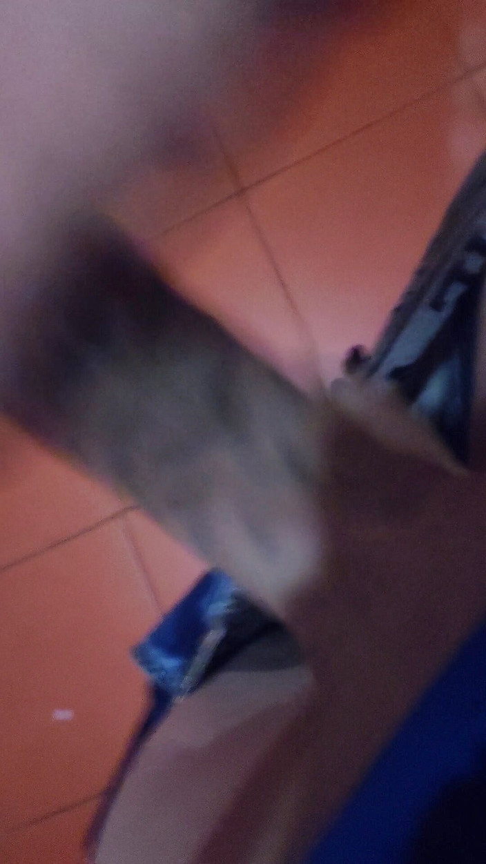 Hard big Tatooed cokk!: О, папа!