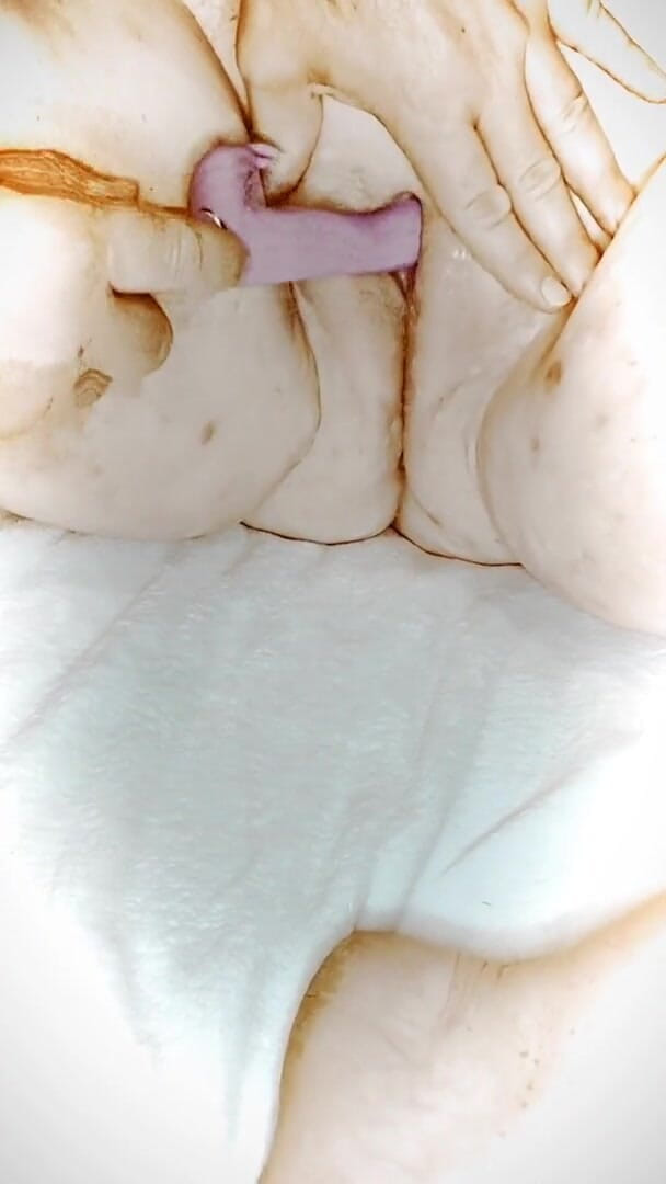 Jmgameplay: Femme, coaching masturbatoire, orgasme, vibromasseur, complet