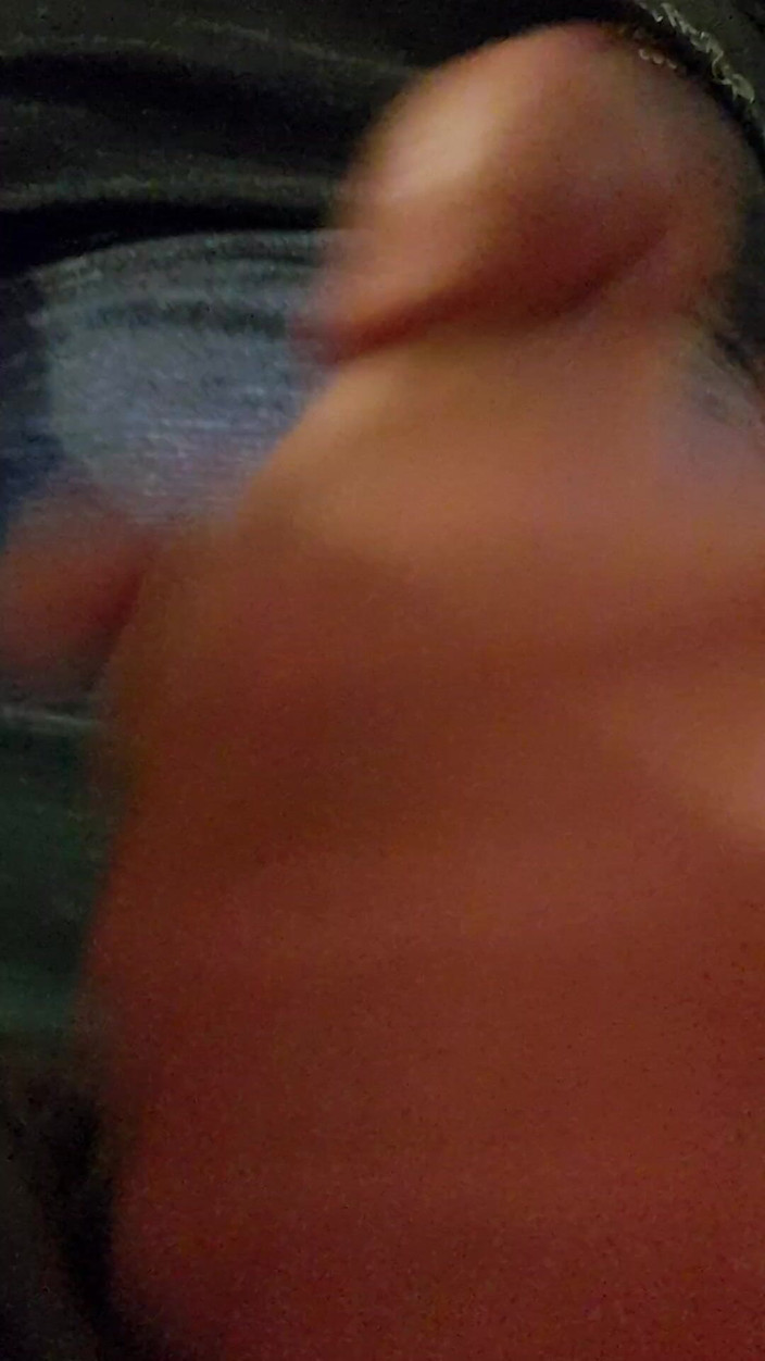 Zeus The Goose: Zeus的快乐独处时间