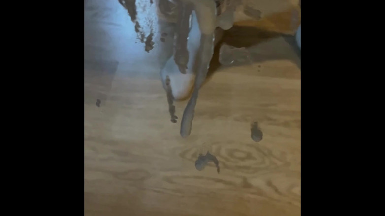 Housebeard: Solo-spust