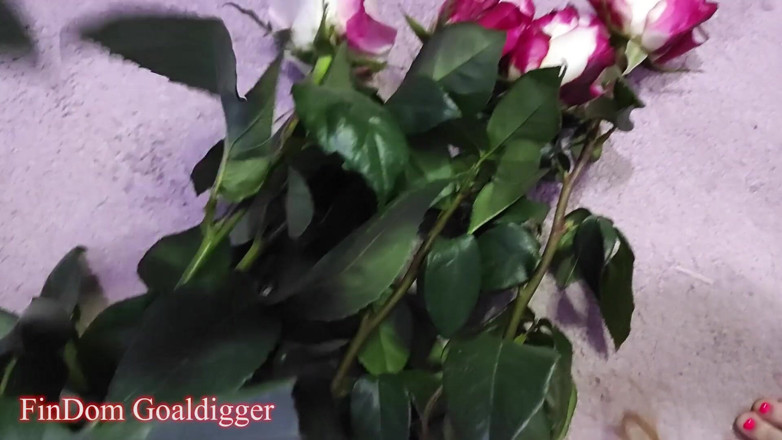 FinDom Goaldigger: Two romantic cuckolding stories