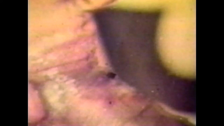 Vintage Usa: ラテン系の性