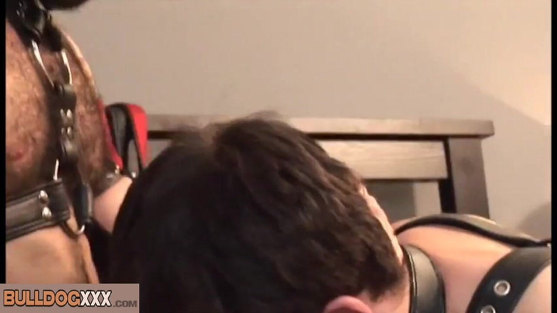 BullDogXXX: BullDogXXX - 两个男性男性之间的性爱