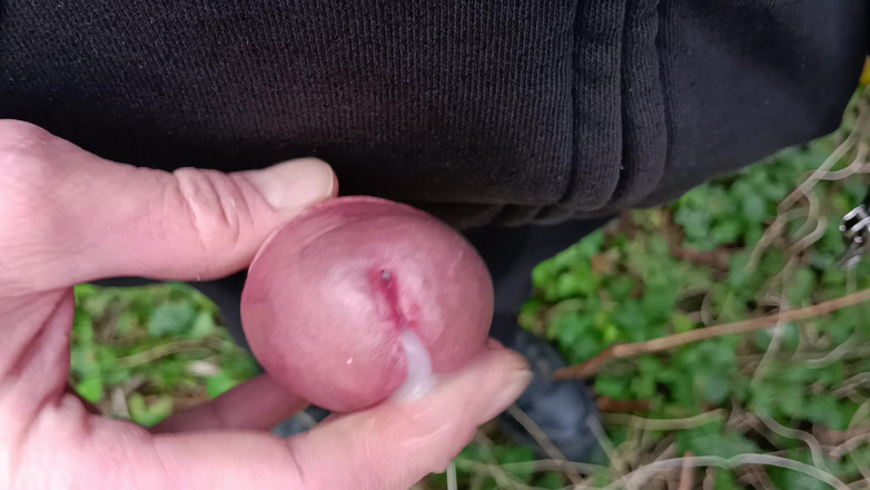 Rockardglans: Velký neobřezaný cestovní penis, zblízka Honění v lese v pracovním...