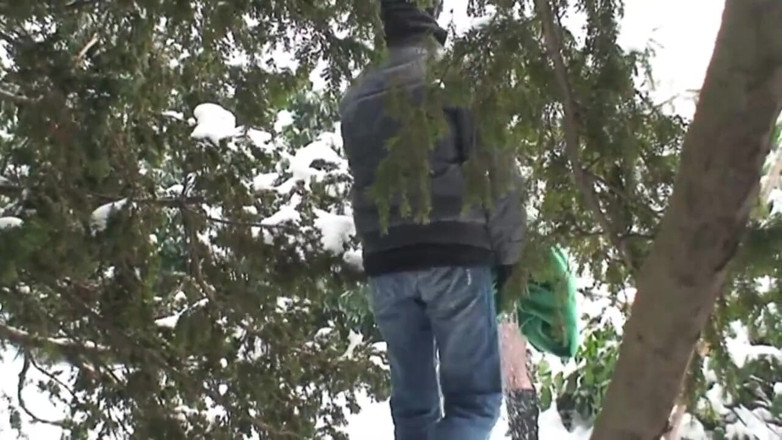 Out Sexxx: 야외에서 섹시한 갈색 머리의 야생 섹스