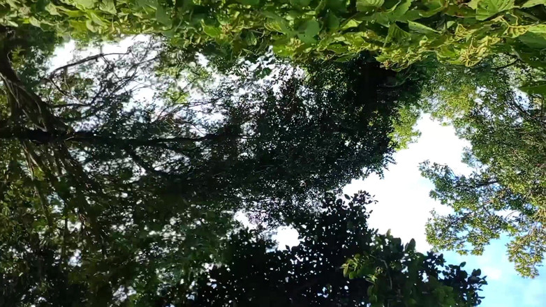 LinearOrnament35: Vlog 性爱颤抖让更长