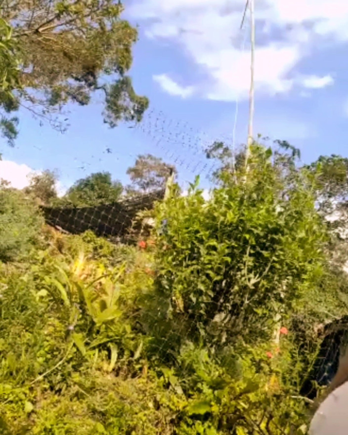 Evehamphy: Show ao vivo em 11 de novembro