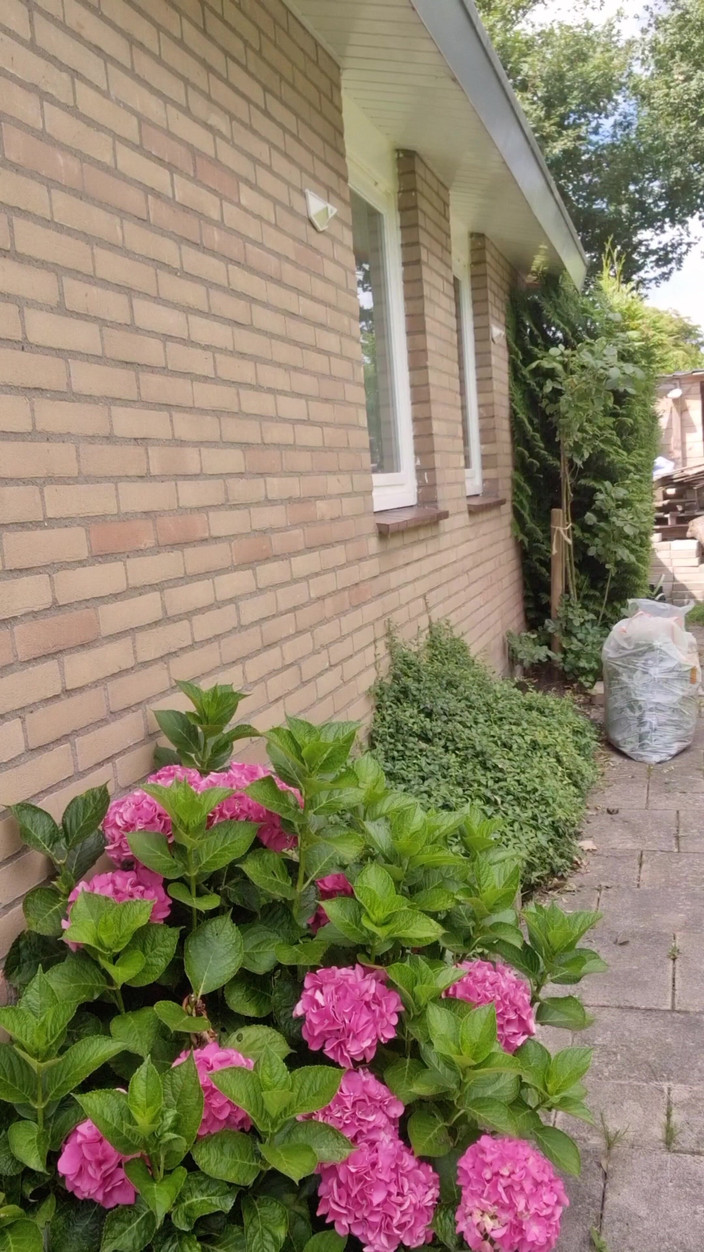 Anna Lynx: Risicovol poesje spelen buitenshuis