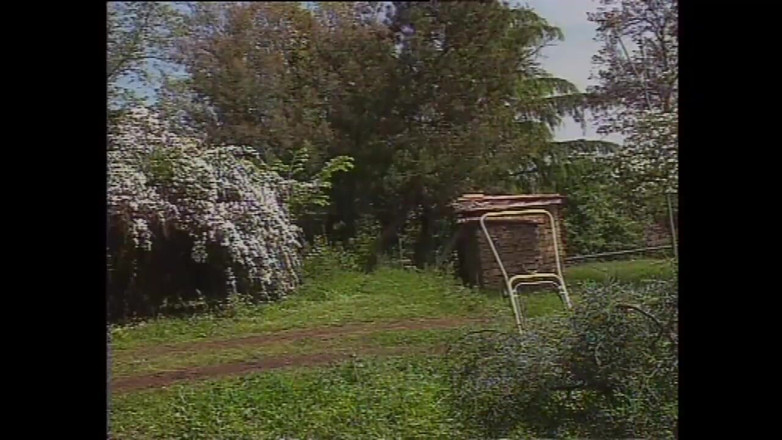 Vintage megastore: Heiße ehefrau mit behaarter muschi gefickt und von einem großen...