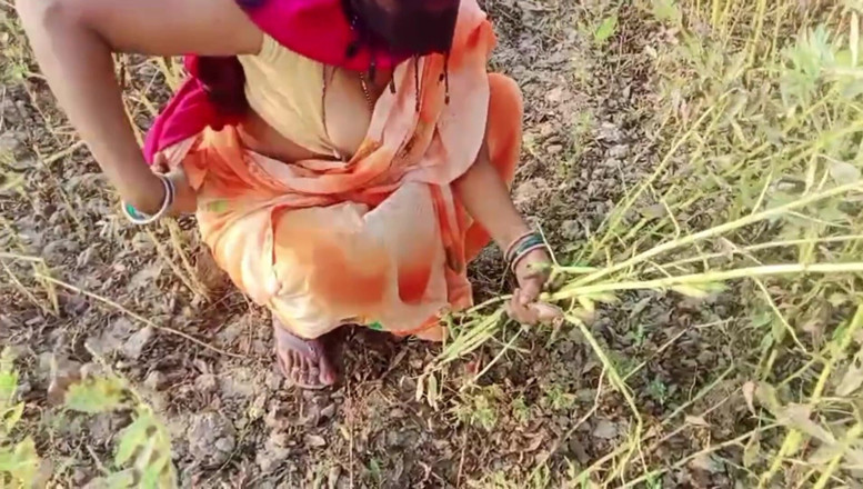 Bk Vlogs: Desi Bhabhi zerżnięta podczas pracy w polu
