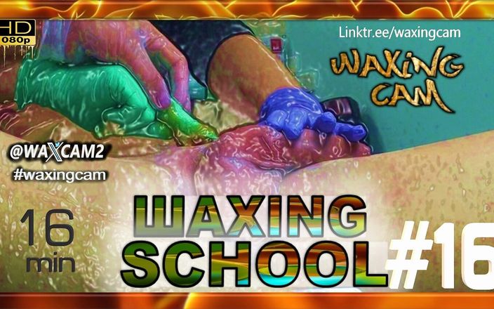 WaxingCam: Часть 16, вощу самца