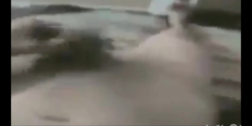 RoyToyBoi: Дрочить kinda day