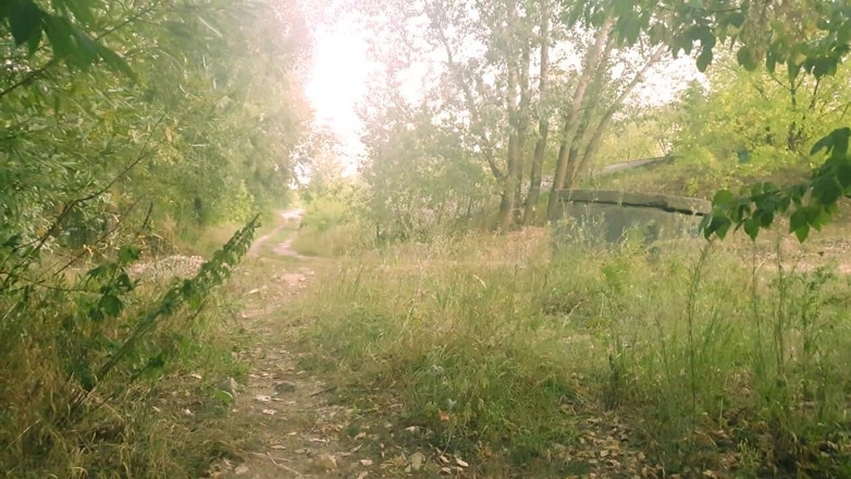 Mark: Fucked a stranger in the forest