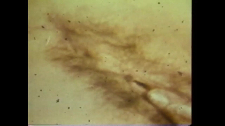 The Unforgettable: A masturabada louca