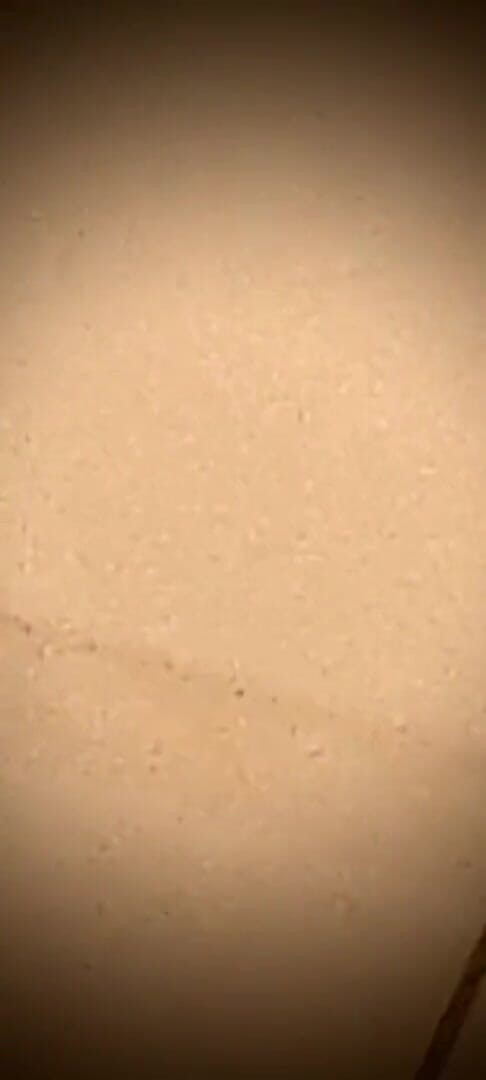 Magic Matic: Masturbating on the way to shower, seeing a stranger got...
