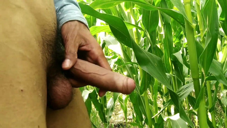 Desimast7: Sex je život