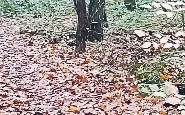 Amreis: Masturbación en el bosque a finales de otoño un paseo...