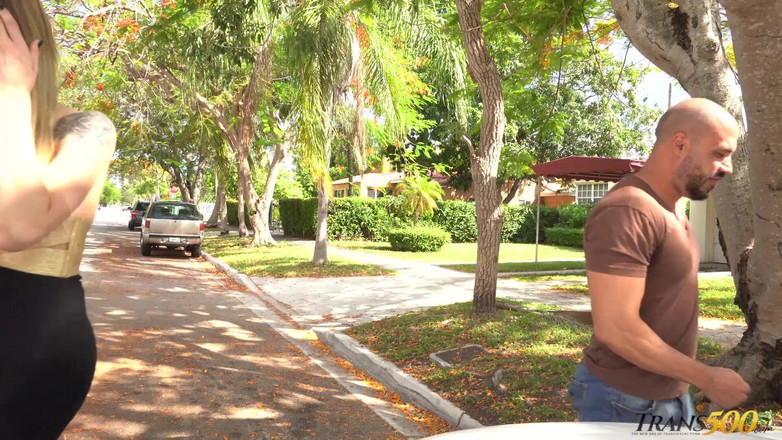 Trans 500: Dapatkan Fix saya