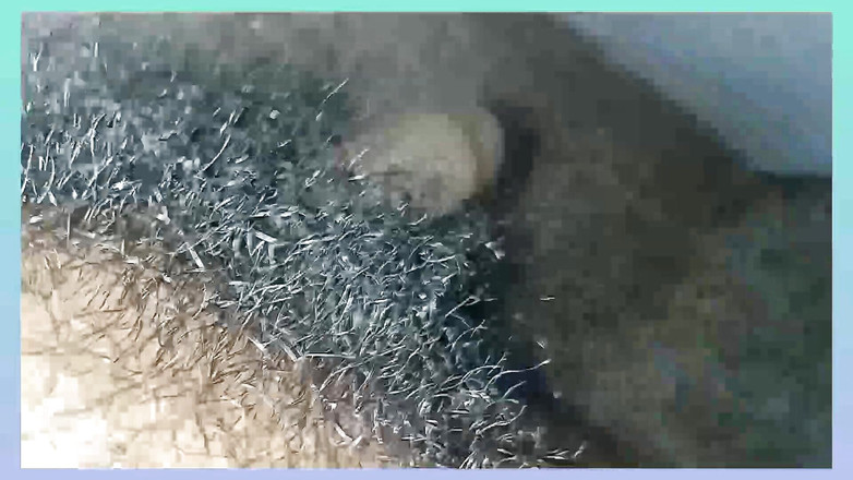 Lovely rose adit: Камасутра 125