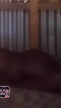 Hit that pussy real good - ona chtěla víc a více