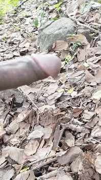Happy Ending with Audio