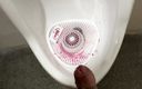 Cock massage: Masturbating with Piss and Cumshot in Urinal