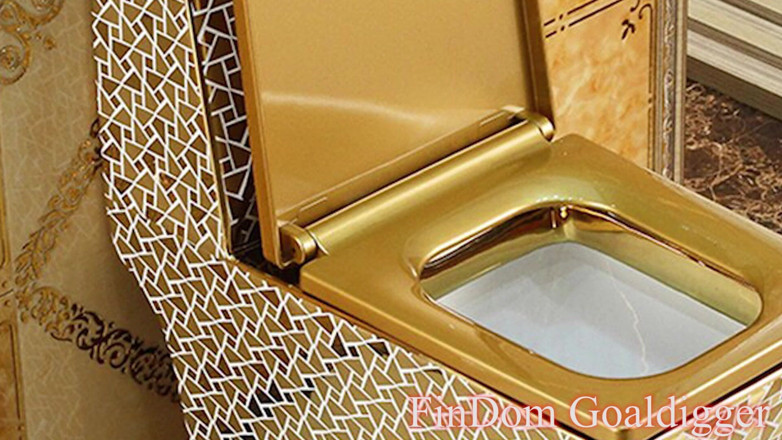 FinDom Goaldigger: Gold toilet transformation