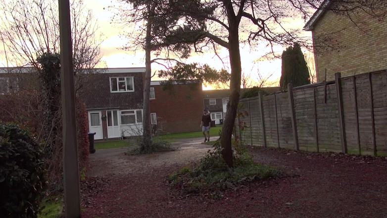 X DVD Collectors Club: Britische schlampen, briten