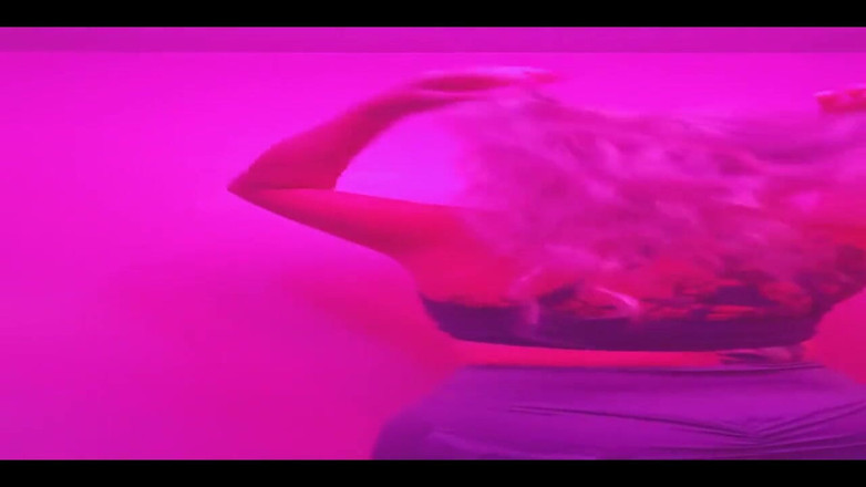 PaintedRose: Painted Rose