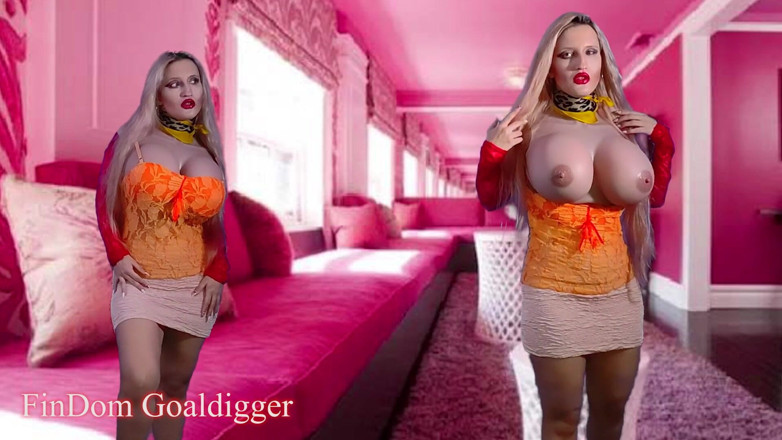 FinDom Goaldigger: Invisible witnesses JOI computer game